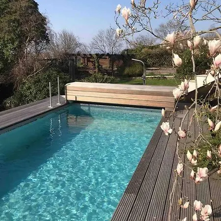 Rheinblick, Ruhig, Aussicht, Gartennutzung, Sport-pool Apartment *
