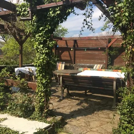 Apartment Rheinblick, Ruhig, Aussicht, Gartennutzung, Sport-pool *